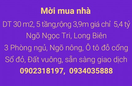 Không mua ngôi nhà này, bạn sẽ hối tiếc mãi mãi